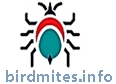 www.birdmites.info