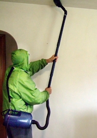 Riccar vacuum for bird mites in the home