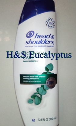 Head & Shoulders Eucalyptus shampoo 