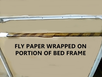 fly paper prevents mites from crawling on bed